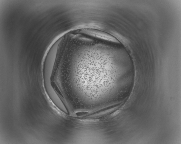 X0000075901200200609291724