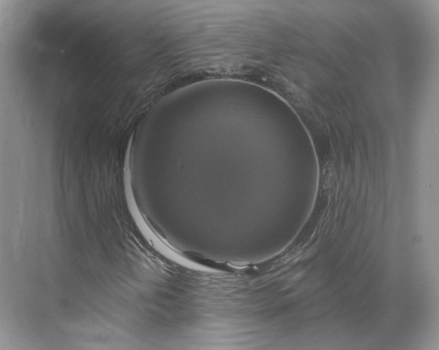 X0000075901202200609291723