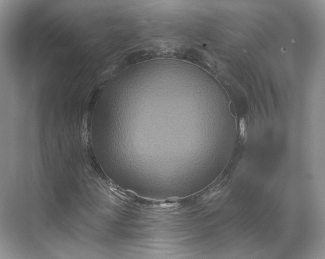 X0000075901203200609291723