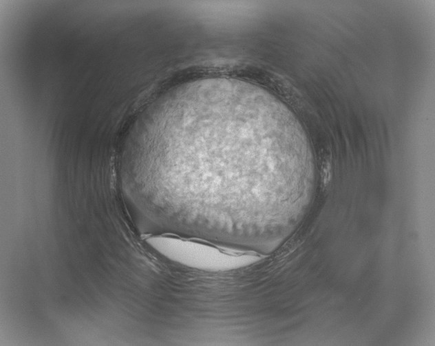 X0000075901204200609291723