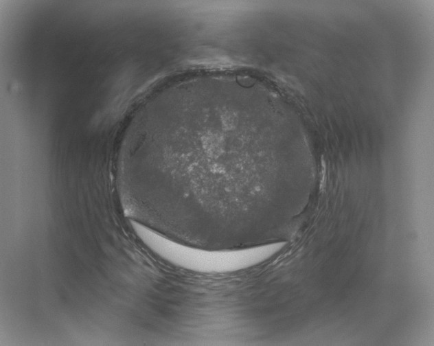 X0000075901205200609291723