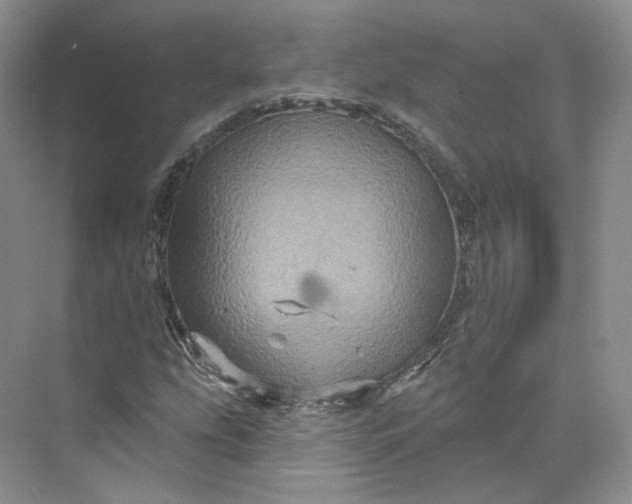 X0000075901207200609291723