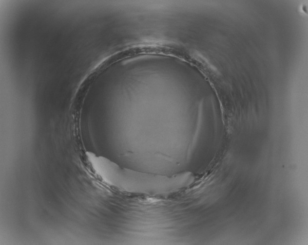 X0000075901208200609291723