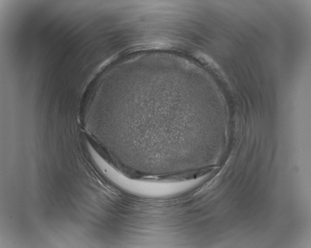 X0000075901210200609291723