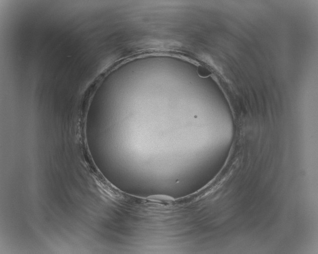 X0000075901211200609291723