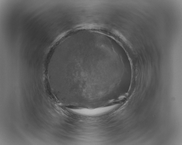 X0000075901213200609291723