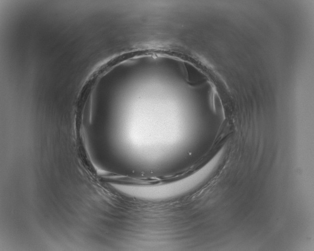 X0000075901214200609291723