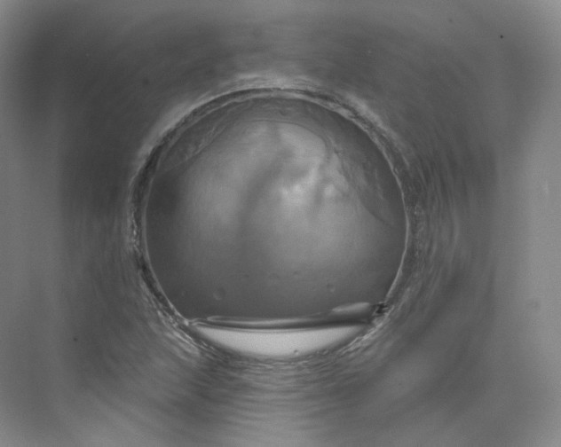 X0000075901215200609291723