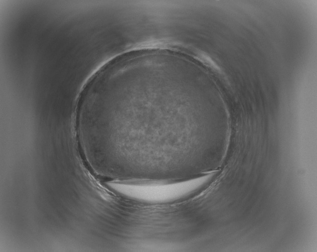 X0000075901216200609291723