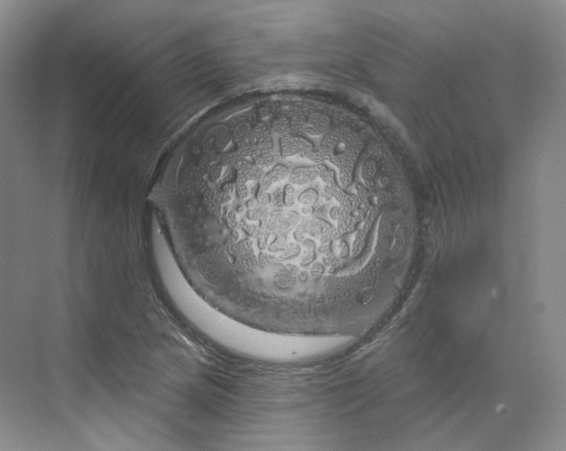 X0000075901217200609291723