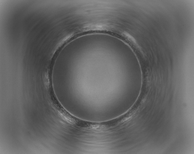 X0000075901218200609291723