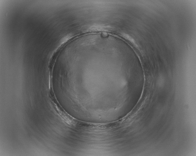 X0000075901219200609291723