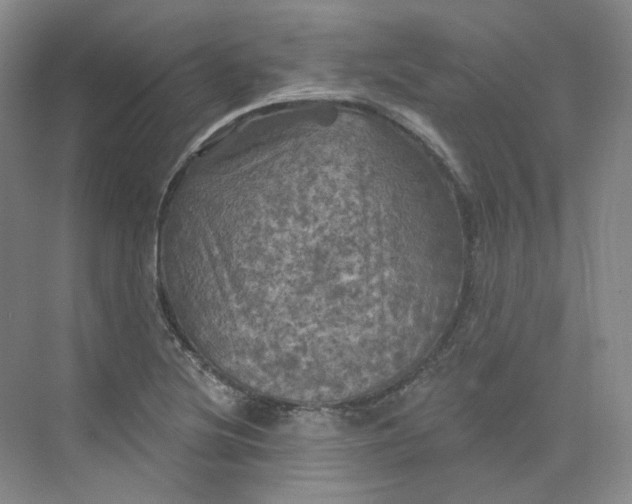 X0000075901220200609291723