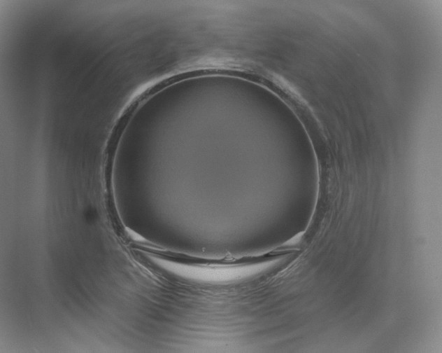 X0000075901222200609291723