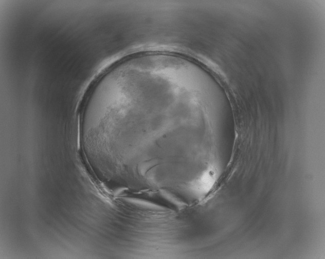 X0000075901223200609291723