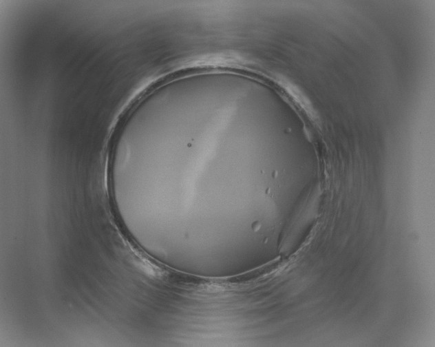 X0000075901224200609291723