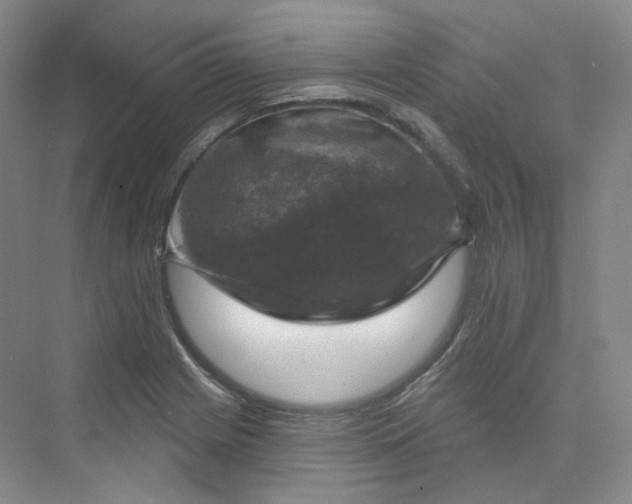 X0000075901225200609291723