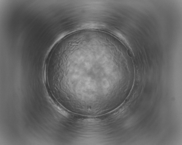 X0000075901227200609291723