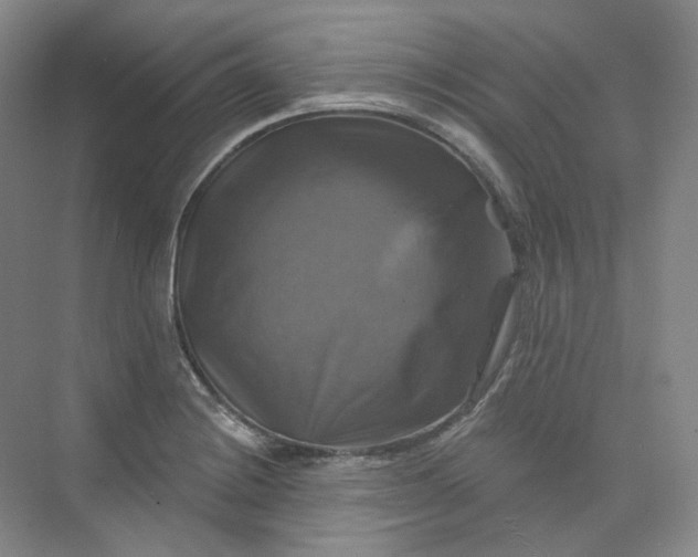 X0000075901228200609291723