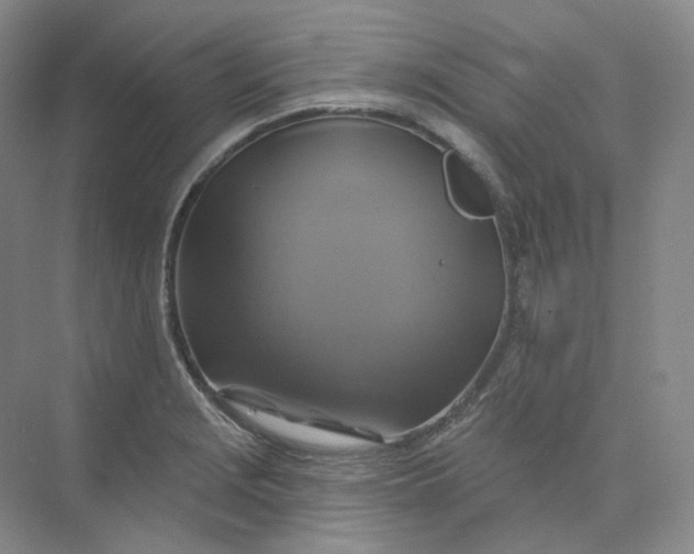 X0000075901229200609291723