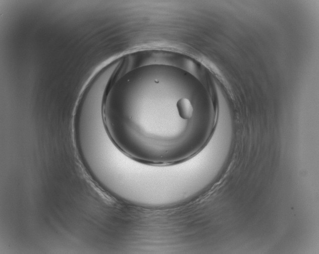 X0000075901230200609291723