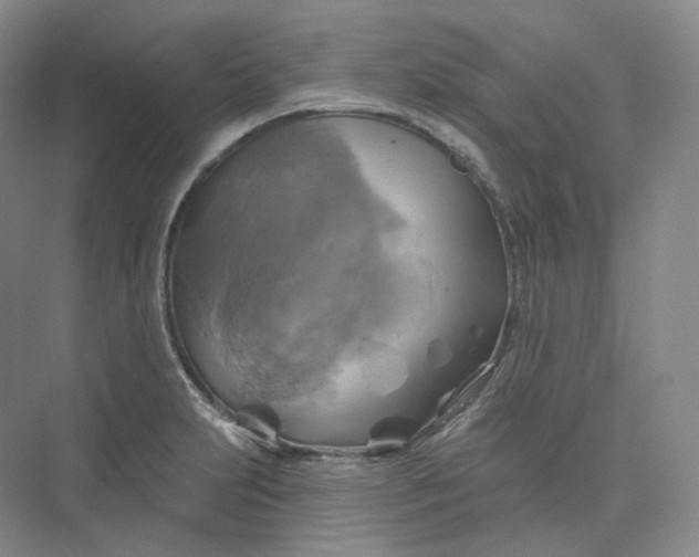 X0000075901231200609291723