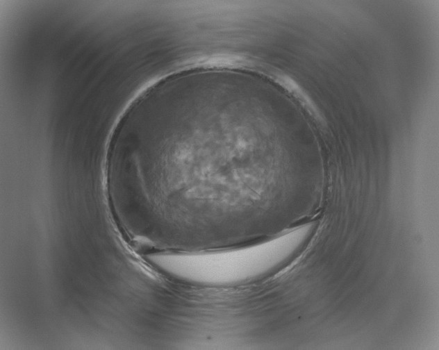 X0000075901232200609291723