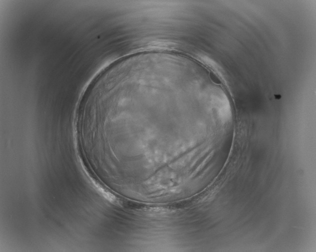 X0000075901235200609291723