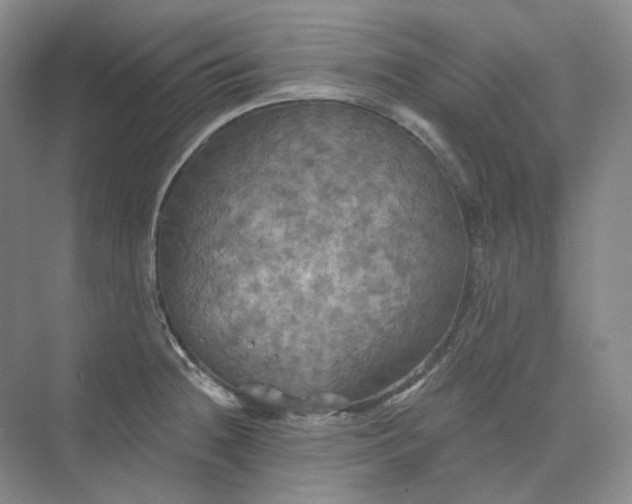 X0000075901236200609291723