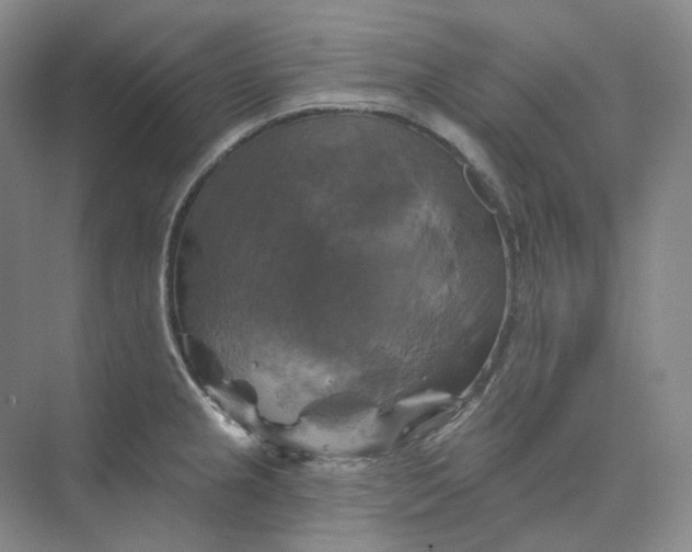 X0000075901237200609291723