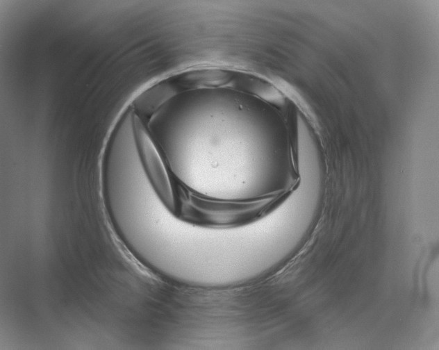 X0000075901238200609291723