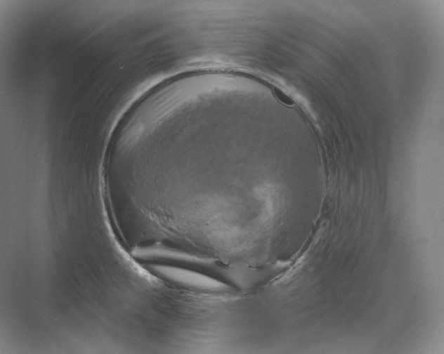 X0000075901239200609291723