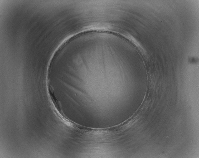 X0000075901240200609291723