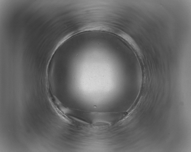 X0000075901242200609291723