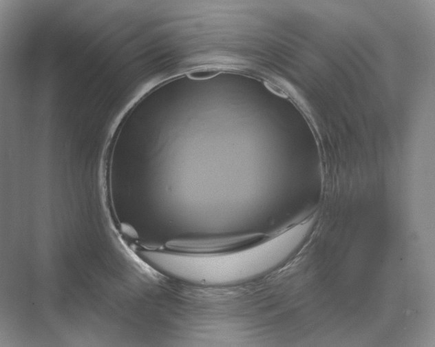 X0000075901243200609291723