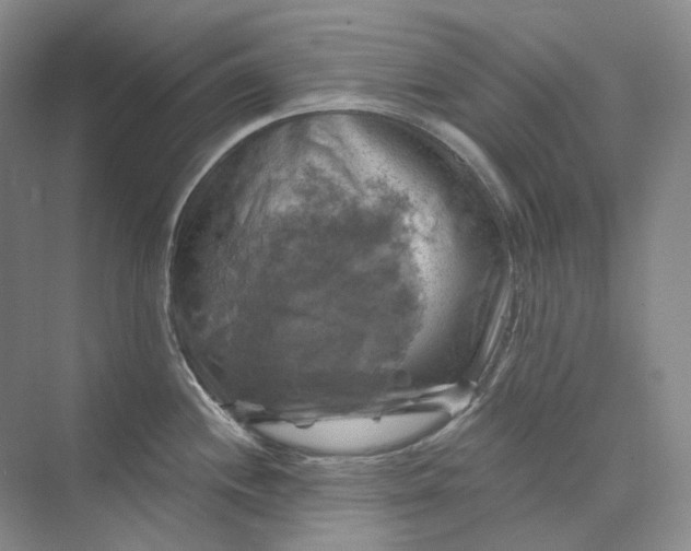 X0000075901244200609291723