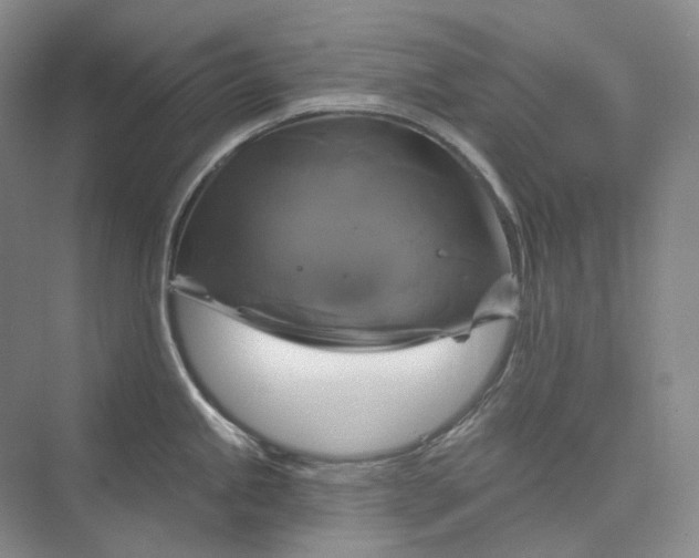 X0000075901245200609291723