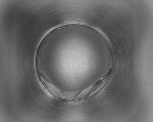 X0000075901246200609291724