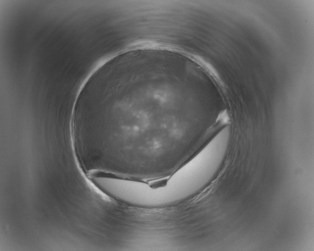 X0000075901247200609291724