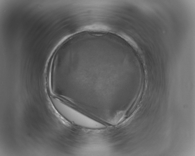 X0000075901248200609291724