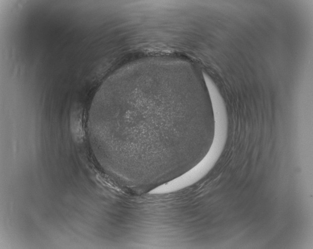 X0000075901250200609291723