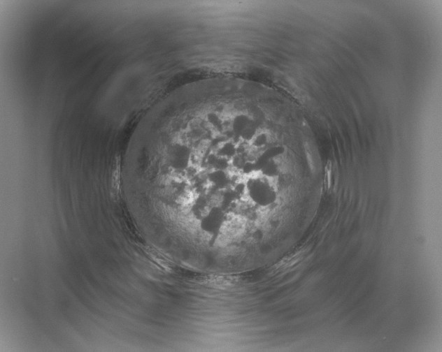 X0000075901251200609291723