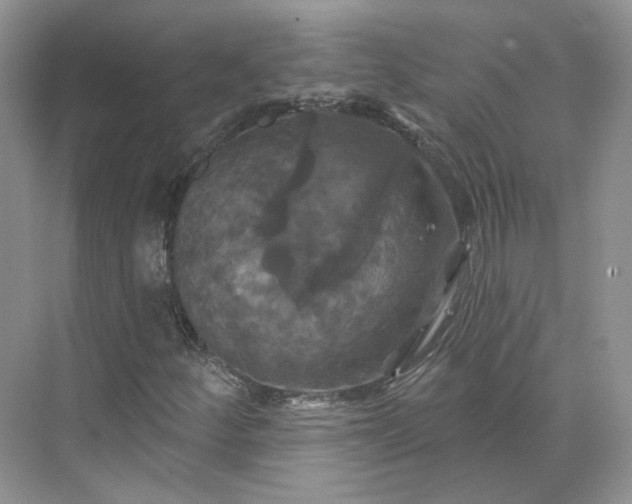 X0000075901252200609291723