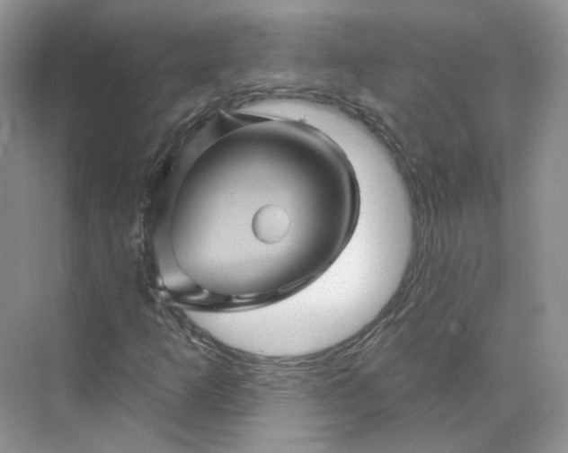 X0000075901253200609291723