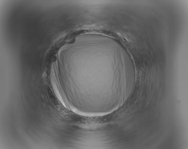 X0000075901254200609291723