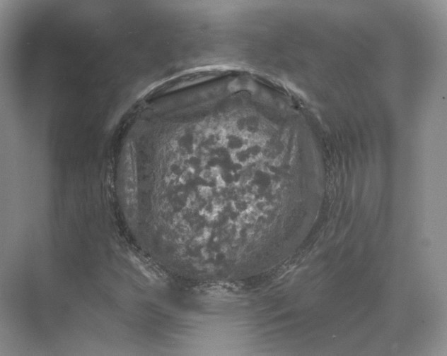 X0000075901255200609291723