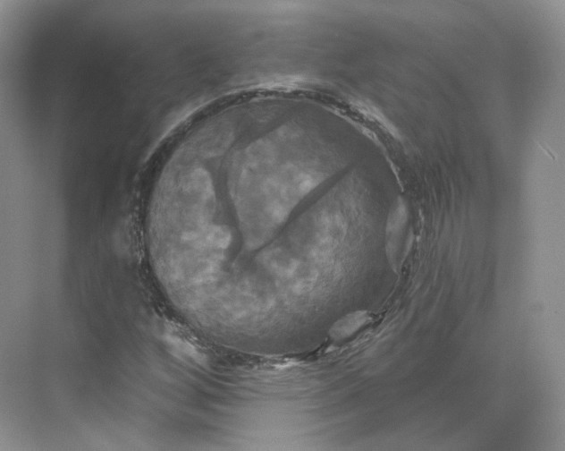 X0000075901256200609291723