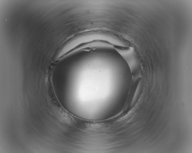 X0000075901257200609291723