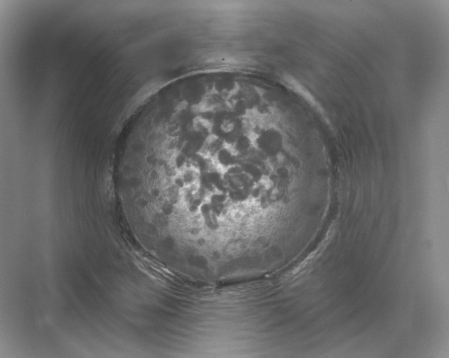 X0000075901259200609291723