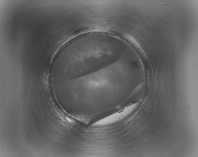 X0000075901260200609291723